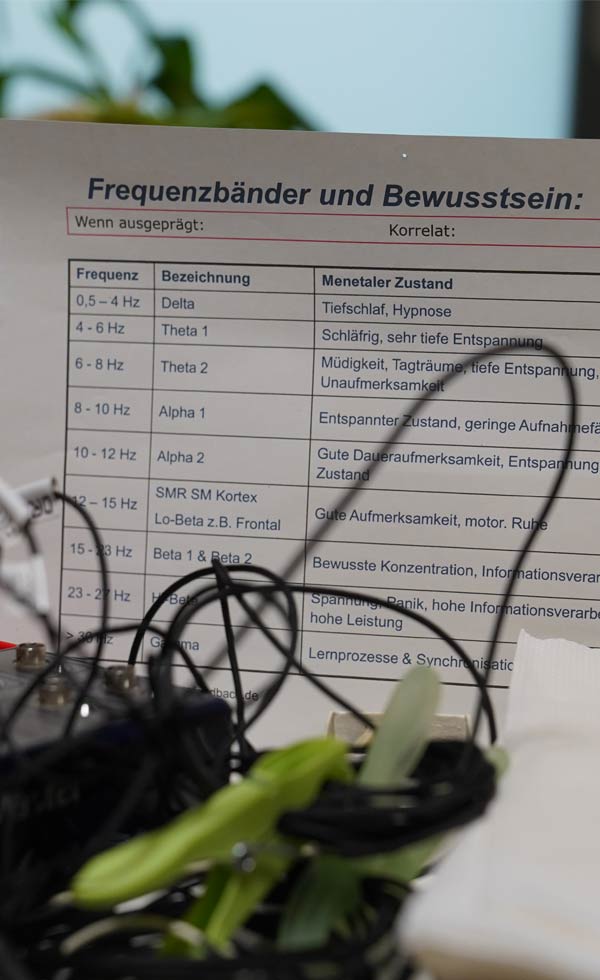 Das Frequenzbandtraining